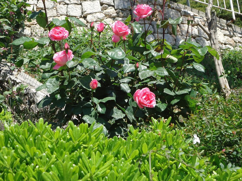 Peric Rooms Dubrovnik Ngoại thất bức ảnh