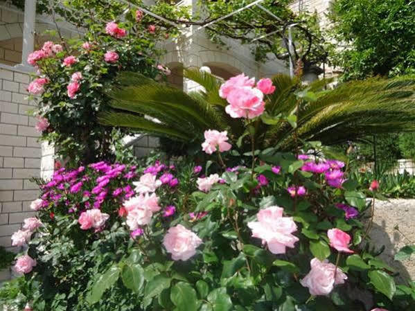 Peric Rooms Dubrovnik Ngoại thất bức ảnh